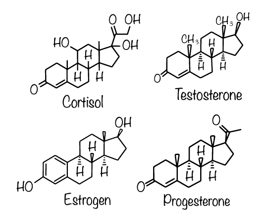 Menopause – hormone therapy (HRT), natural route, or take a bioharmonised approach