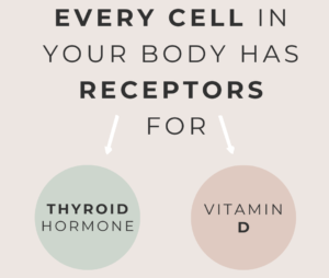 Tired, Foggy, or Stuck? It Could Be Your Thyroid Talking!
