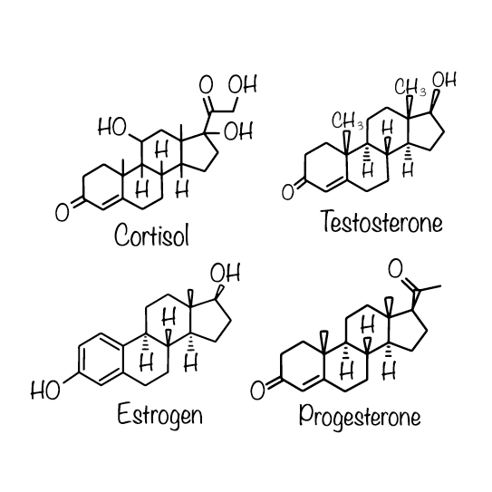 Menopause – hormone therapy (HRT), natural route, or take a bioharmonised approach