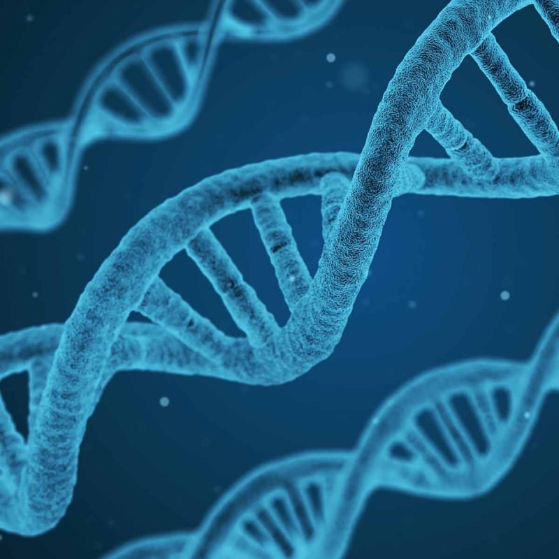 DNA Health Optimisation