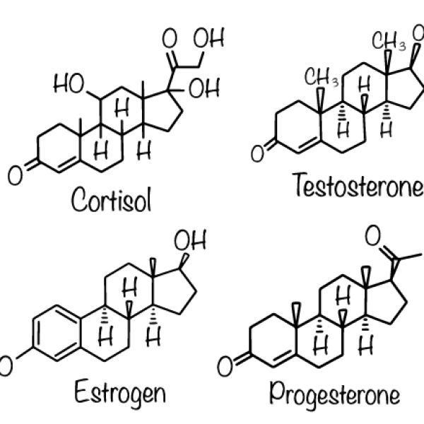 DUTCH Test - hormones HRT menopause birthcontrol